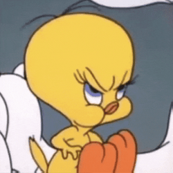 Buenos Dias Piolin GIF