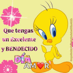 Buenos Dias Piolin GIF