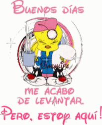 Buenos Dias Piolin GIF
