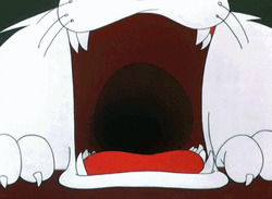 Buenos Dias Piolin GIF