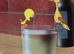 Buenos Dias Piolin GIF