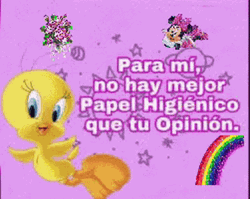 Buenos Dias Piolin GIF