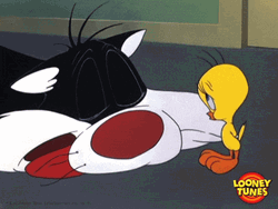 Buenos Dias Piolin GIF