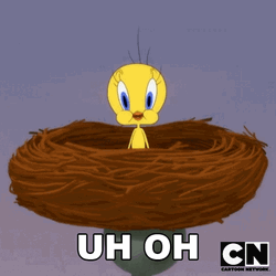 Buenos Dias Piolin GIF