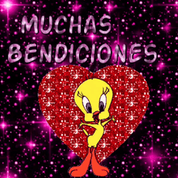 Buenos Dias Piolin GIF