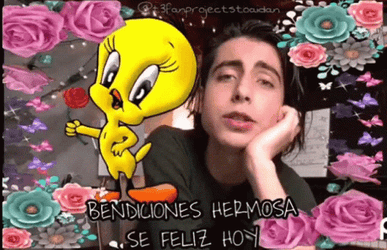 Buenos Dias Piolin GIF