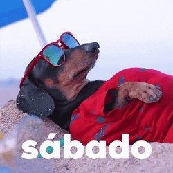 Buenos Dias Sabado GIF