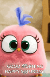 Buenos Dias Sabado GIF