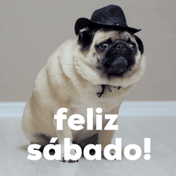 Buenos Dias Sabado GIF
