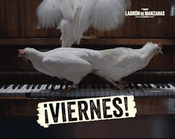 Buenos Dias Viernes GIF