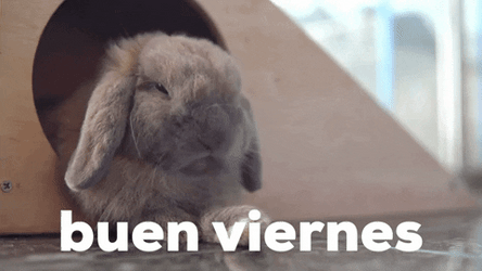 Buenos Dias Viernes GIF