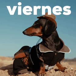 Buenos Dias Viernes GIF