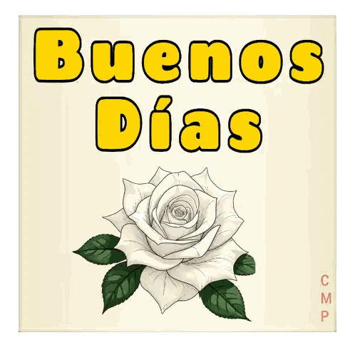 Buenos Dias White Rose Sign Sticker