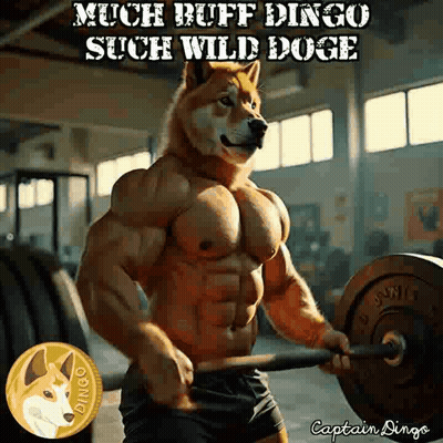Buff Doge Lifting Barbell GIF