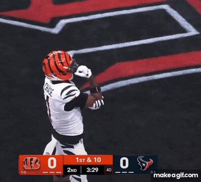 Buffalo Bills Vs Texans Football Game GIF