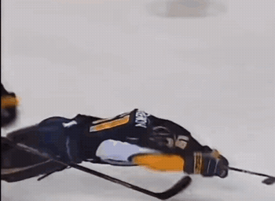 Buffalo Sabres Mascot In Blue And Yellow Jersey GIF