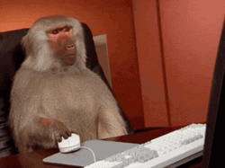 Buffering Slow Computer Stressed Monkey At Work