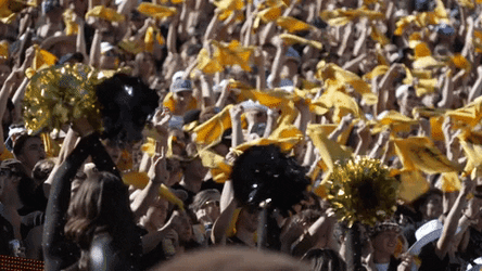 Buffs Fans Twirling Golden Flag Cheering GIF