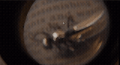 Bug Close Up Saying I'm Gonna Call Him Ant-Thony GIF