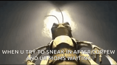 Bug Close Up Sneaking After Curfew Mom Waiting GIF