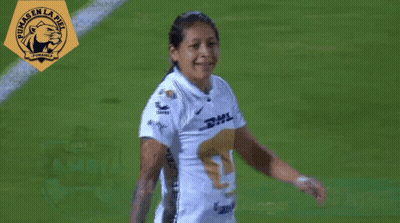 Bug Fables Dodging Being A Good Game The Anti Bug Fables Association Poster GIF