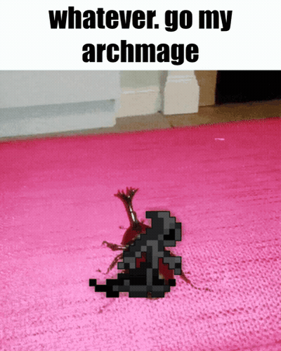 Bug On Pink Rug With Whatever Go My Archmage GIF