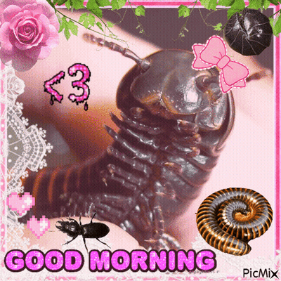 Bug Saying Good Morning GIF