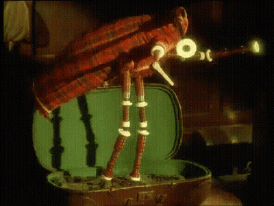 Bug Sitting On Suitcase GIF