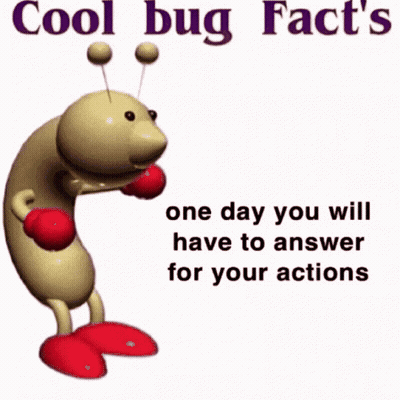 Bug With Boxing Gloves Cool Bug Facts One Day You Will Have To Answer For Your Actions GIF