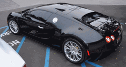 Bugatti Veyron 360 View