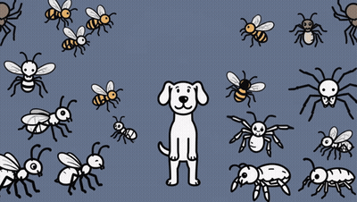 Bugs Bugs Bugs GIF
