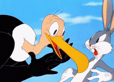 Bugs Bunny And Looney Tunes Cartoon GIF