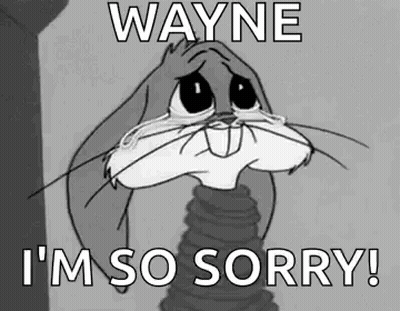 Bugs Bunny Crying Wayne I'm So Sorry GIF