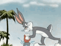 Bugs Bunny Florida GIF