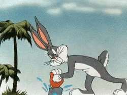 Bugs Bunny Florida Sawing Near Atlantic Ocean GIF