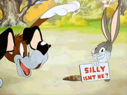 Bugs Bunny Florida Silly Isn't He GIF