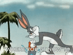 Bugs Bunny Florida Where You At Now GIF