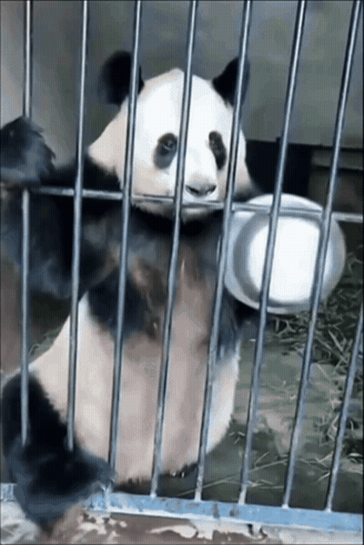 Bugs Bunny In Jail Uniform Holding Hammer GIF