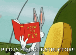 Bugs Bunny Reading Pilot Flying Instructions GIF