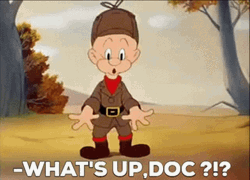 Bugs Bunny What's Up Doc Elmer Fudd GIF