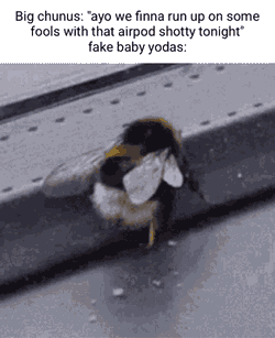Bugshaker Beetwerk GIF