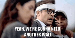 Build The Other Wall Tyler Hynes GIF
