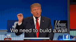 Build The Wall Donald Trump Fox Debate GIF