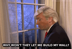 Build The Wall Jimmy Fallon Trump Spoof GIF