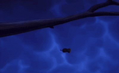 Building With General Brewing Company Sign GIF