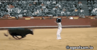 Bull Chased By Person @Ageofsam.io GIF