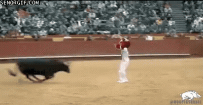 Bull Running Towards Person In Bullfight GIF