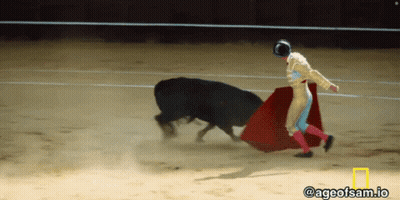 Bull Slaughtered By Matador With Ageofsam.io GIF