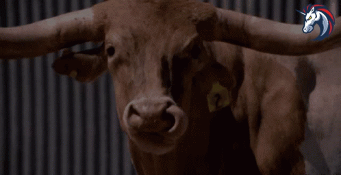 Bull With Long Horns In Front Of Unicorn Logo GIF