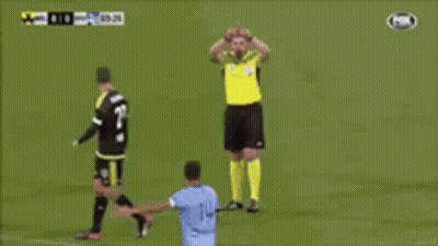 Bull With Var Check GIF